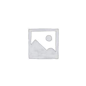Champion FUE Micromotor